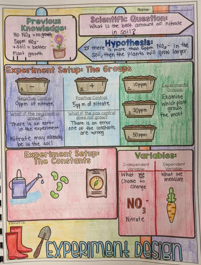 Chemistry doodle diagram by Maura Waksmonski